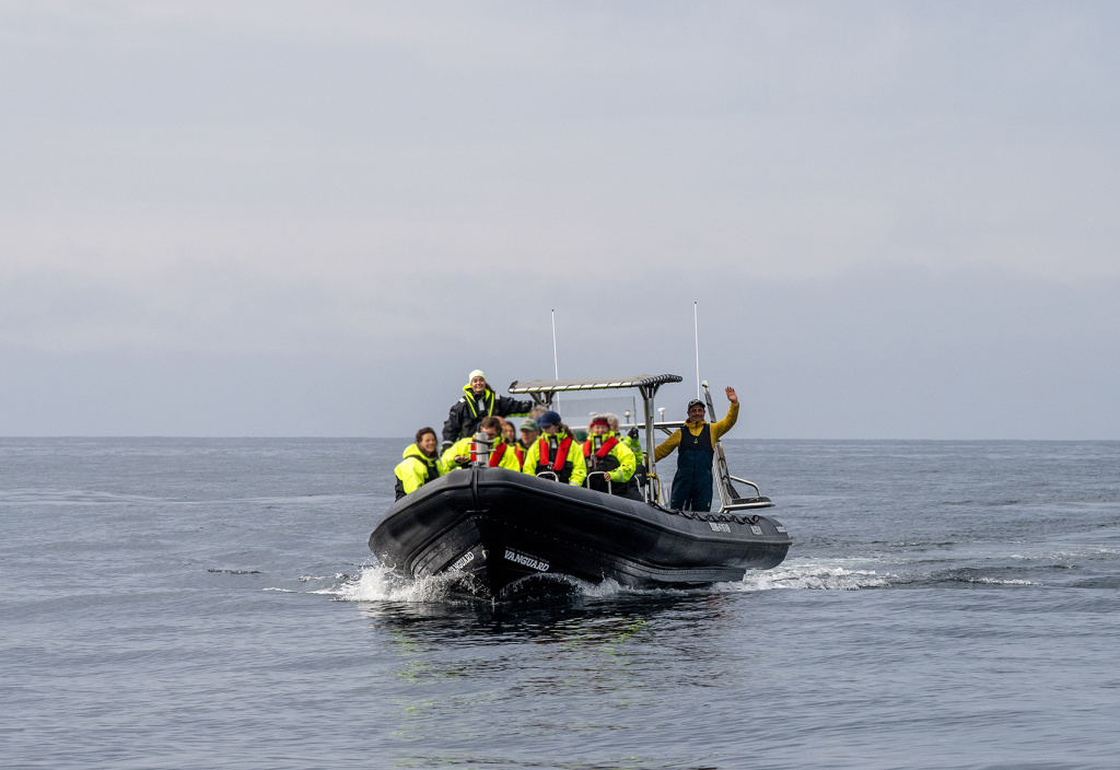 RIB boat back from whale watching trip. ©Marten Bril.