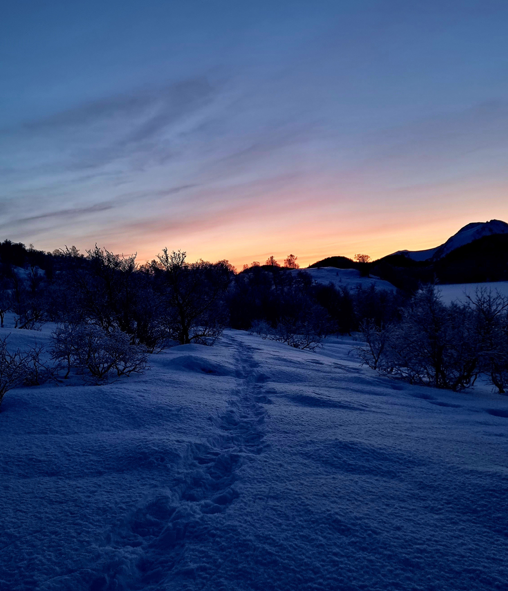 Evening walk in arctic winter landscape. ©Karina Jakobsen.